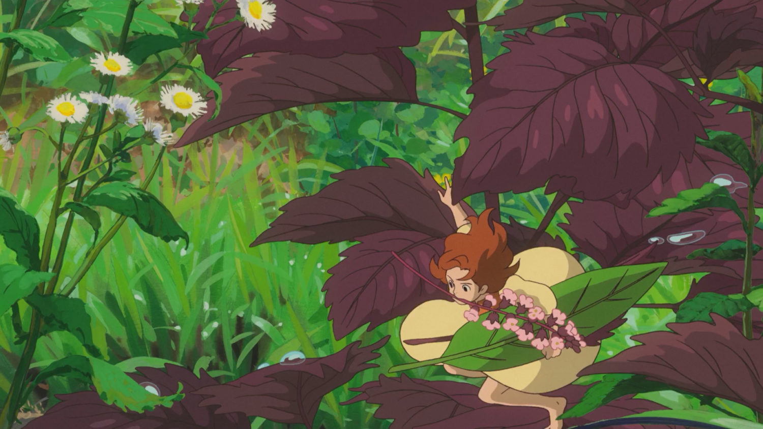 The Borrower Arrietty Archives Noobsubs